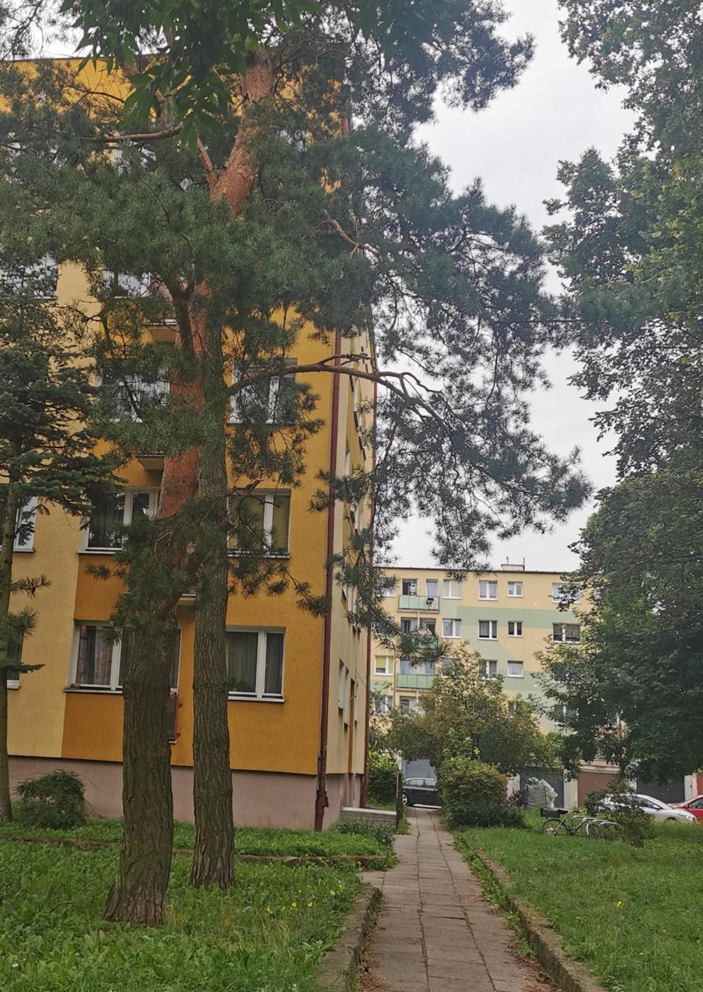 Mieszkanie Brzeźno przy plaży Gdańsk Zewnętrze zdjęcie